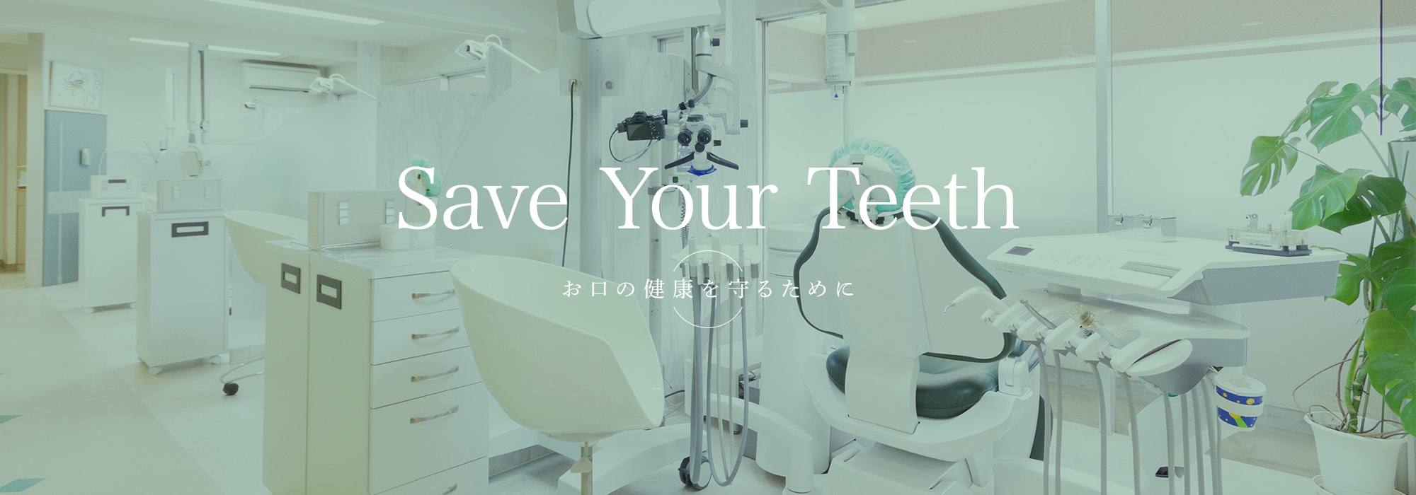 Save Your Teeth お口の健康を守るために